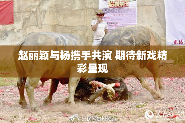 赵丽颖与杨携手共演 期待新戏精彩呈现