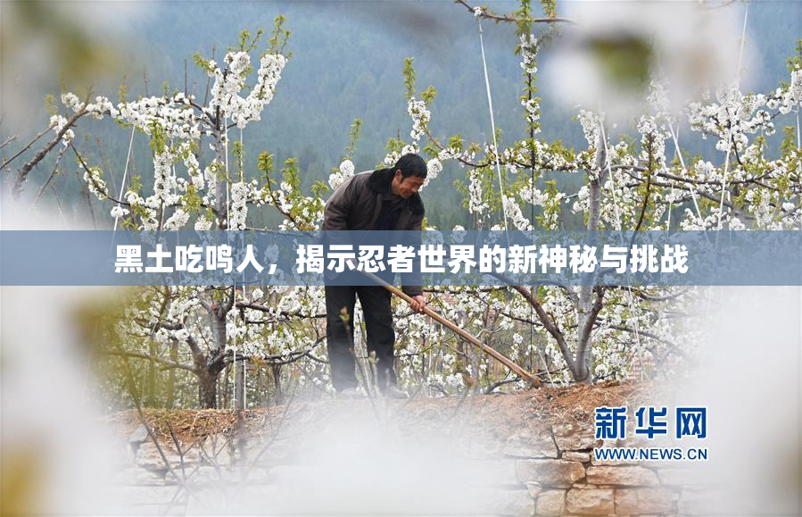 黑土吃鸣人，揭示忍者世界的新神秘与挑战