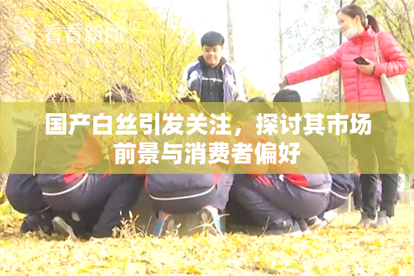 国产白丝引发关注，探讨其市场前景与消费者偏好