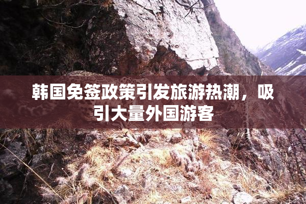 韩国免签政策引发旅游热潮，吸引大量外国游客