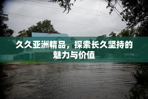 久久亚洲精品，探索长久坚持的魅力与价值