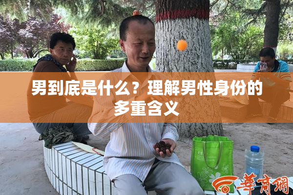 男到底是什么？理解男性身份的多重含义