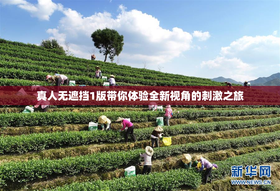 真人无遮挡1版带你体验全新视角的刺激之旅