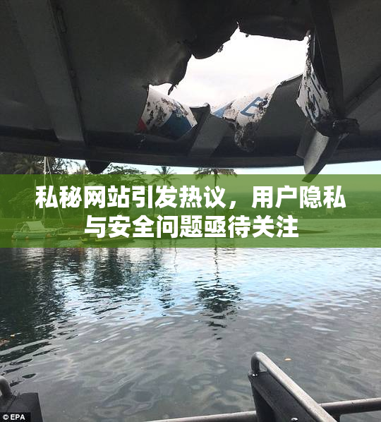 私秘网站引发热议，用户隐私与安全问题亟待关注