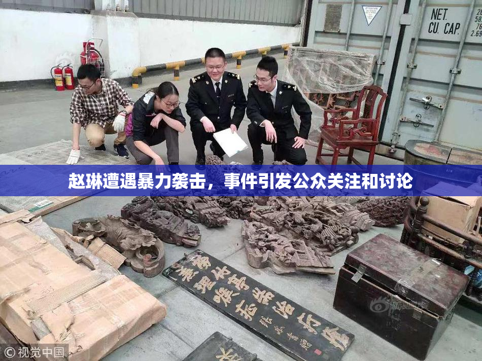 赵琳遭遇暴力袭击，事件引发公众关注和讨论