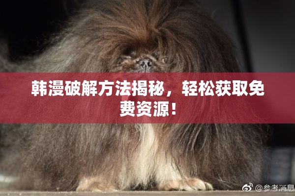韩漫破解方法揭秘，轻松获取免费资源！