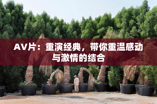 AV片：重演经典，带你重温感动与激情的结合