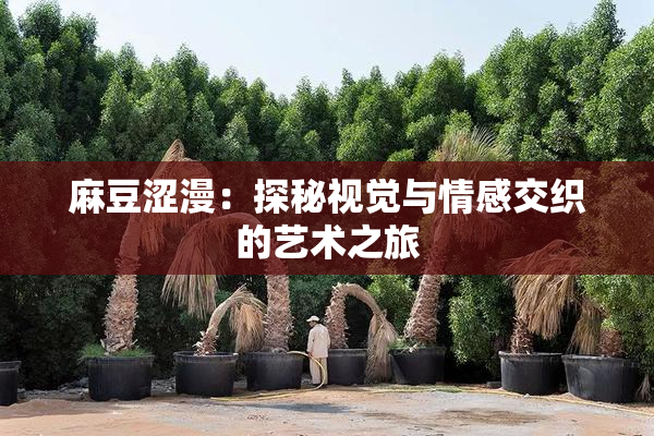 麻豆涩漫：探秘视觉与情感交织的艺术之旅