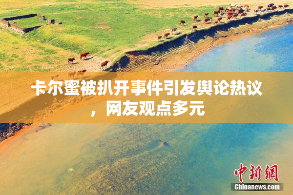 卡尔蜜被扒开事件引发舆论热议，网友观点多元