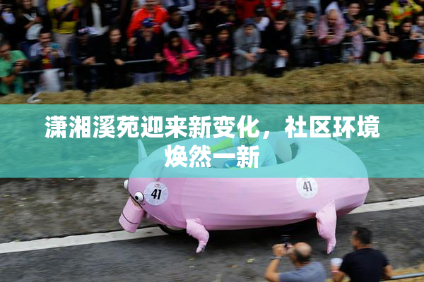 潇湘溪苑迎来新变化，社区环境焕然一新