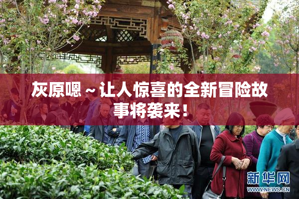 灰原嗯～让人惊喜的全新冒险故事将袭来！