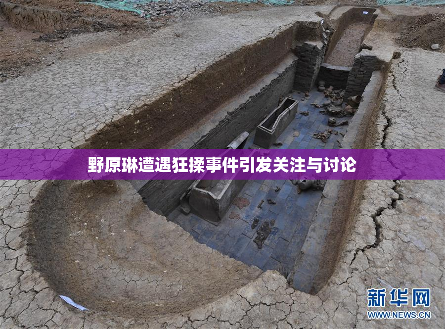 野原琳遭遇狂揉事件引发关注与讨论