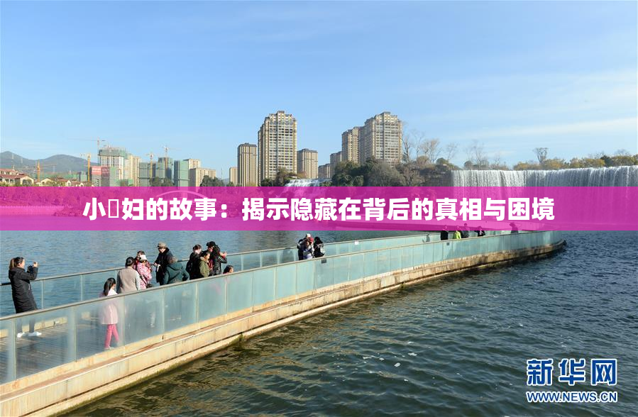 小婬妇的故事：揭示隐藏在背后的真相与困境