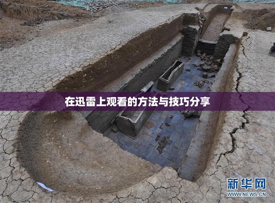 在迅雷上观看的方法与技巧分享