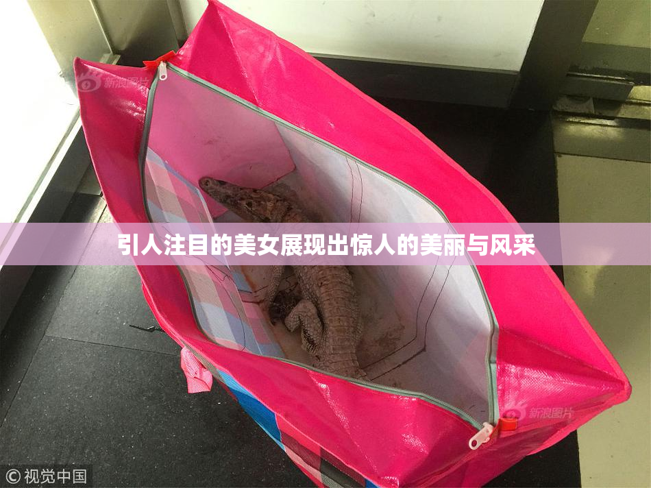 引人注目的美女展现出惊人的美丽与风采