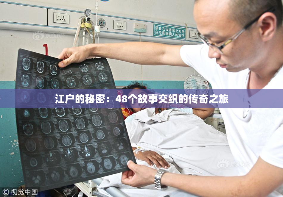 江户的秘密：48个故事交织的传奇之旅