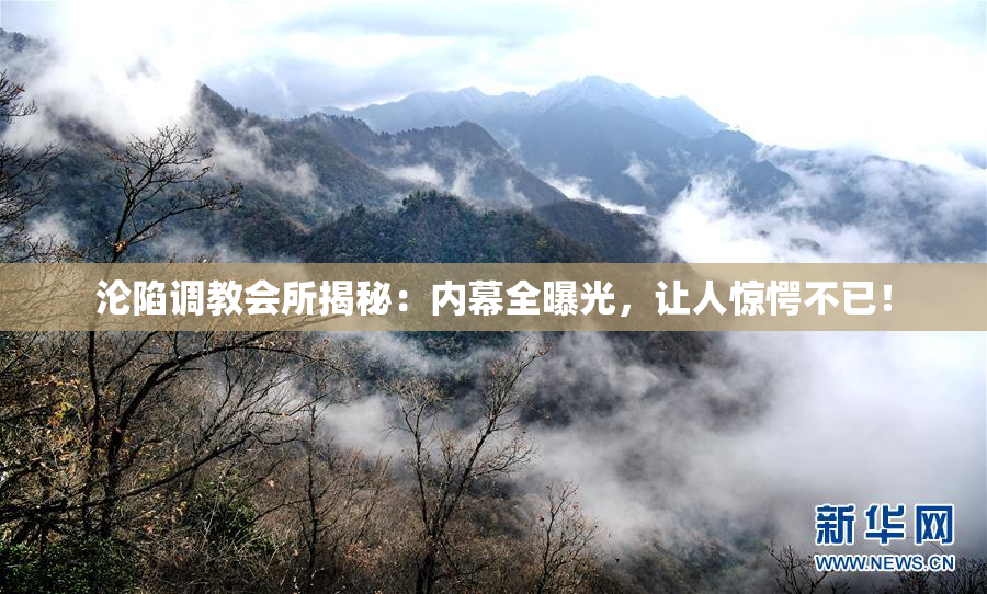 沦陷调教会所揭秘：内幕全曝光，让人惊愕不已！