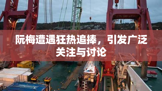 阮梅遭遇狂热追捧，引发广泛关注与讨论