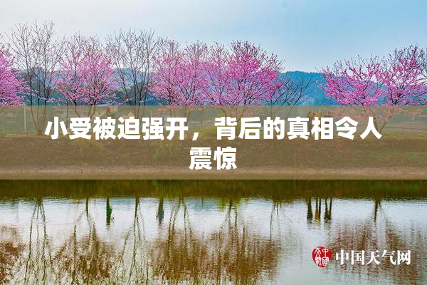 小受被迫强开，背后的真相令人震惊