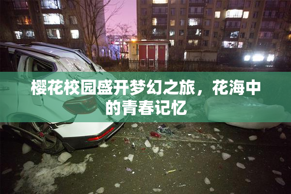樱花校园盛开梦幻之旅，花海中的青春记忆