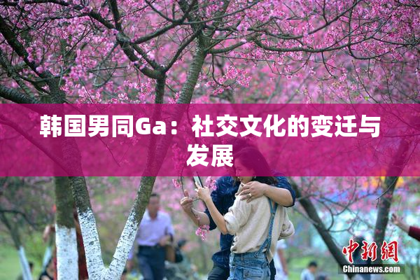 韩国男同Ga：社交文化的变迁与发展