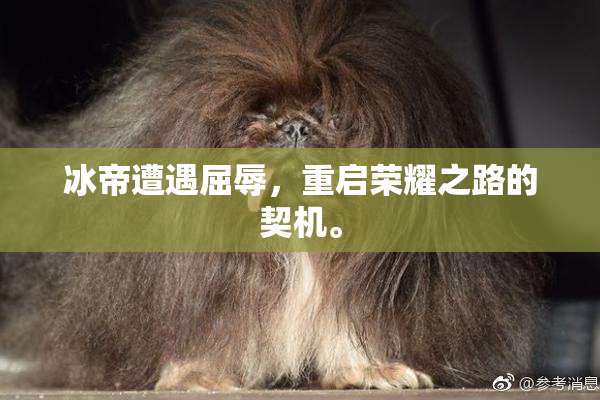 冰帝遭遇屈辱，重启荣耀之路的契机。