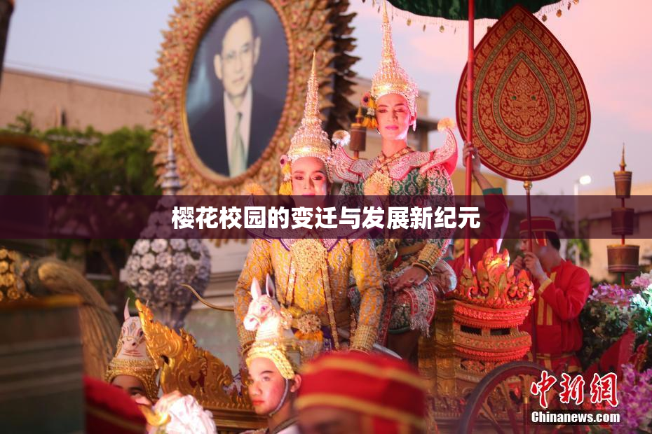 樱花校园的变迁与发展新纪元