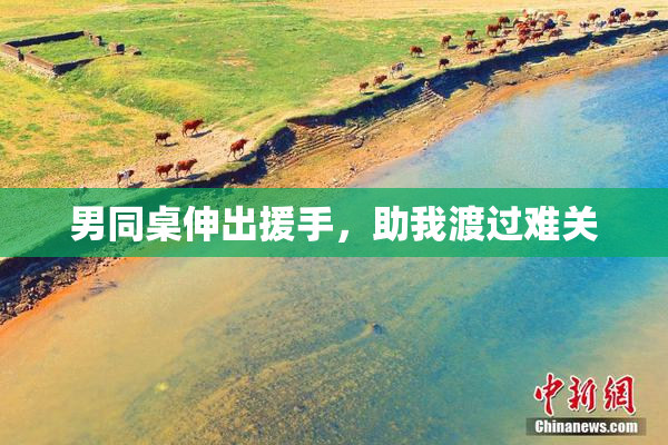 男同桌伸出援手，助我渡过难关