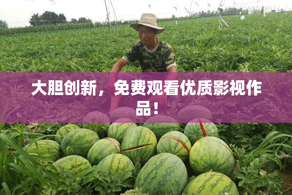 大胆创新，免费观看优质影视作品！