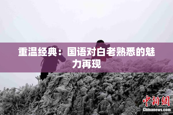 重温经典：国语对白老熟悉的魅力再现