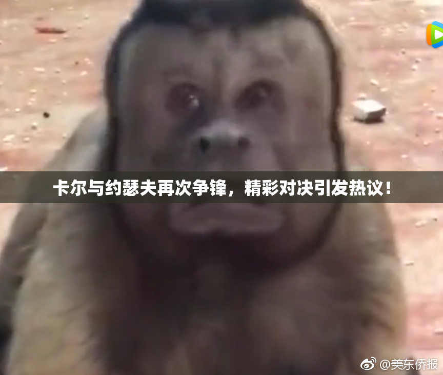 卡尔与约瑟夫再次争锋，精彩对决引发热议！