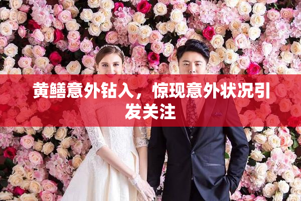 黄鳝意外钻入，惊现意外状况引发关注