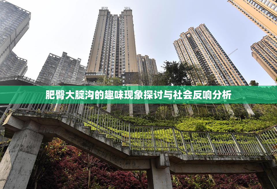 肥臀大腚沟的趣味现象探讨与社会反响分析