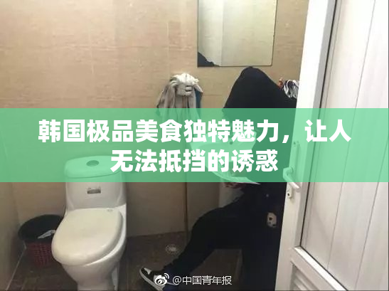 韩国极品美食独特魅力，让人无法抵挡的诱惑