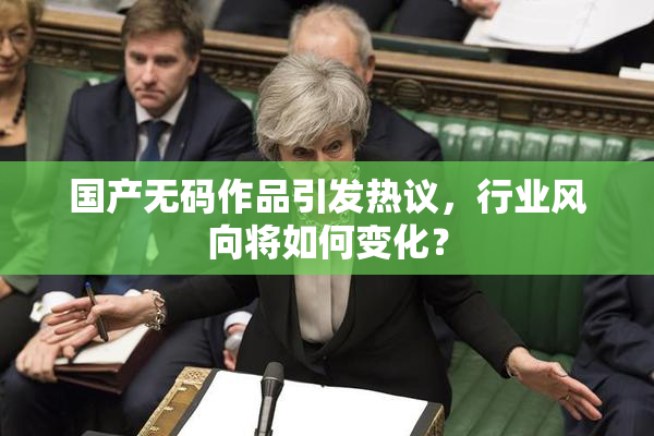 国产无码作品引发热议，行业风向将如何变化？