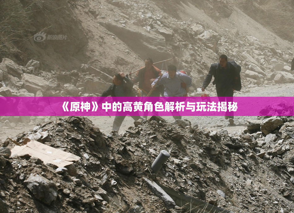 《原神》中的高黄角色解析与玩法揭秘