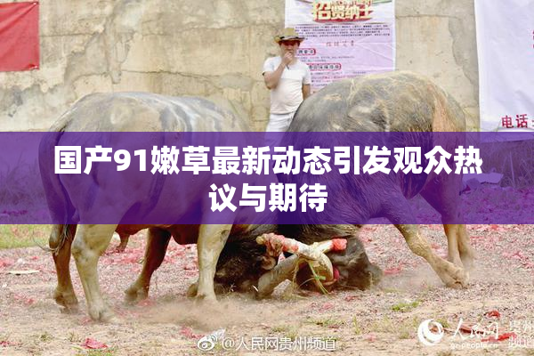 国产91嫩草最新动态引发观众热议与期待