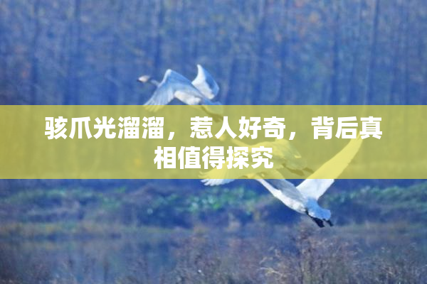 骇爪光溜溜，惹人好奇，背后真相值得探究