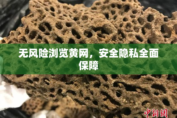 无风险浏览黄网，安全隐私全面保障
