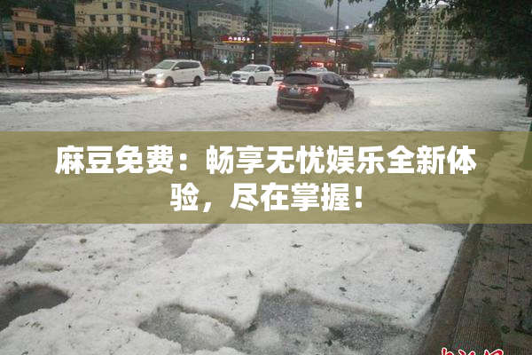 麻豆免费：畅享无忧娱乐全新体验，尽在掌握！