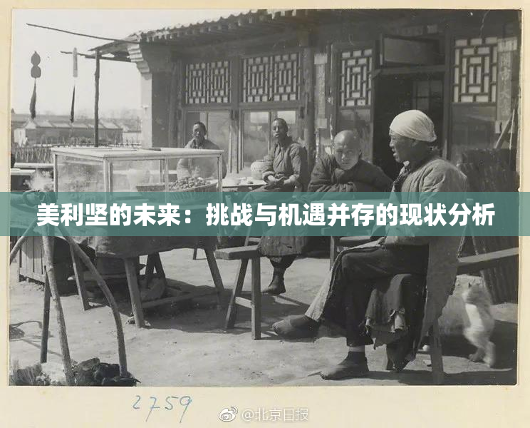 美利坚的未来：挑战与机遇并存的现状分析