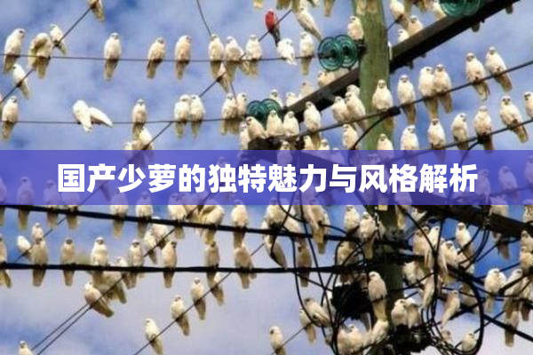 国产少萝的独特魅力与风格解析