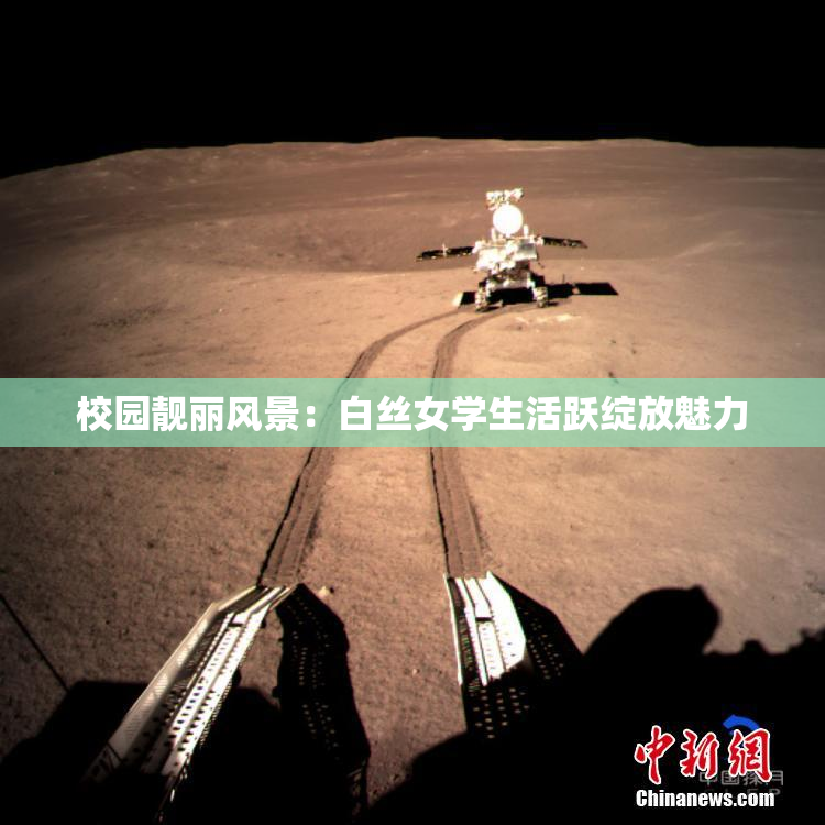 校园靓丽风景：白丝女学生活跃绽放魅力