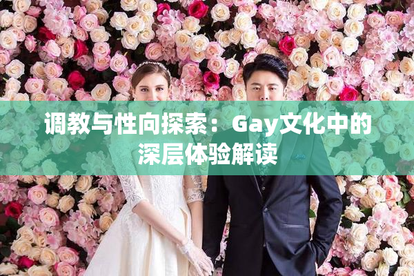 调教与性向探索：Gay文化中的深层体验解读