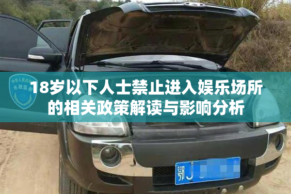 18岁以下人士禁止进入娱乐场所的相关政策解读与影响分析