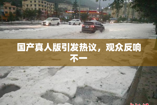 国产真人版引发热议，观众反响不一