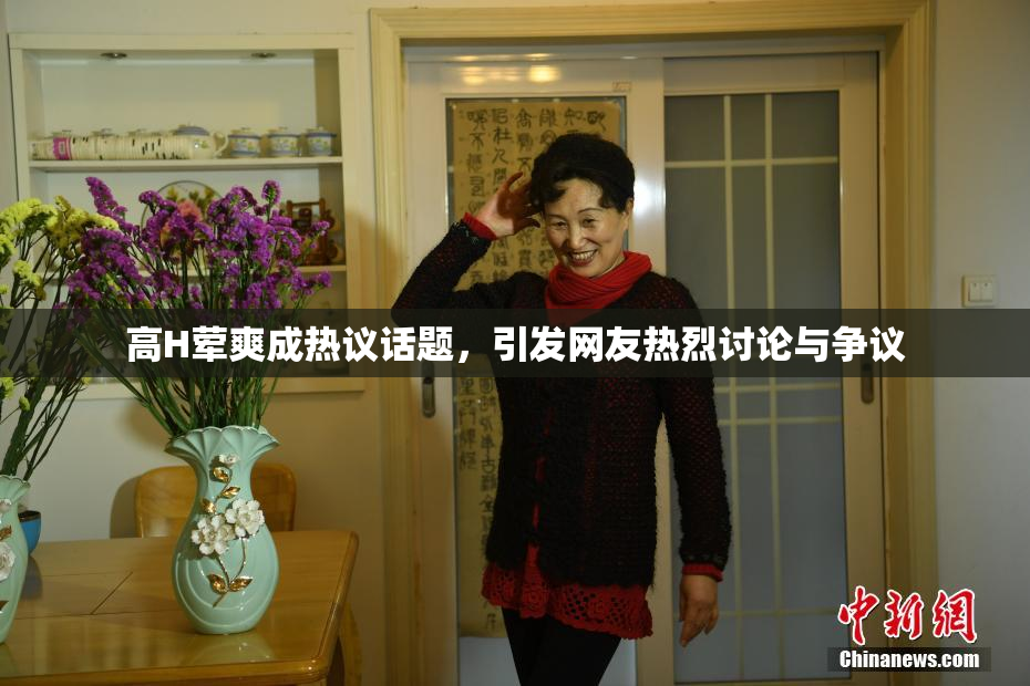 高H荤爽成热议话题，引发网友热烈讨论与争议