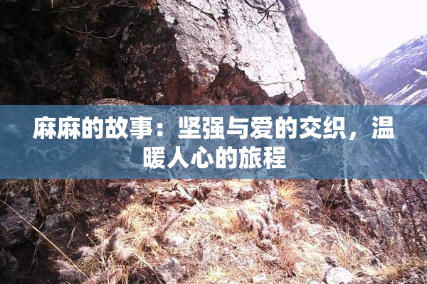 麻麻的故事：坚强与爱的交织，温暖人心的旅程
