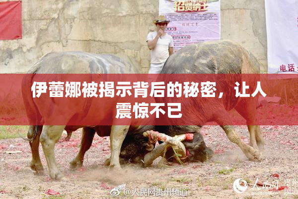 伊蕾娜被揭示背后的秘密，让人震惊不已