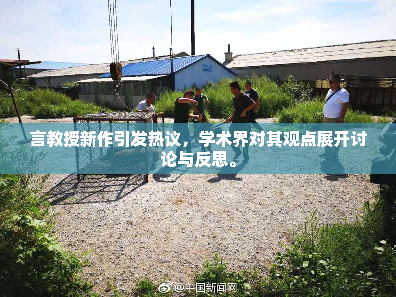 言教授新作引发热议，学术界对其观点展开讨论与反思。